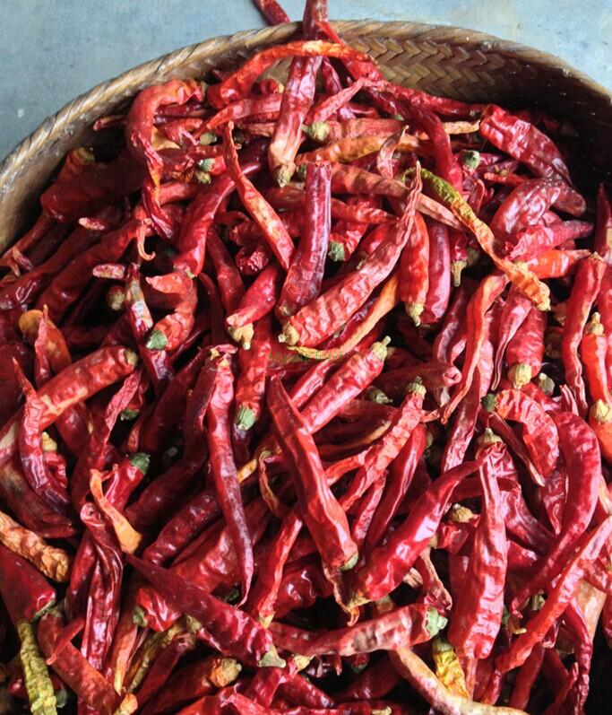 Cayenne chili